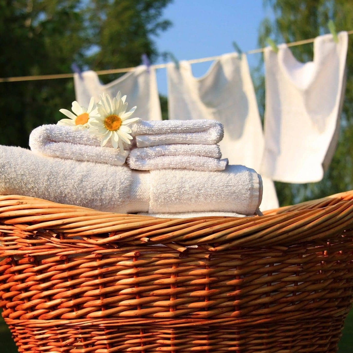 A wicker basket filled with neatly folded white towels and two daisies, with more white linens hanging on a clothesline in the sunlit background and green trees behind.